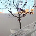- Grill Terrace