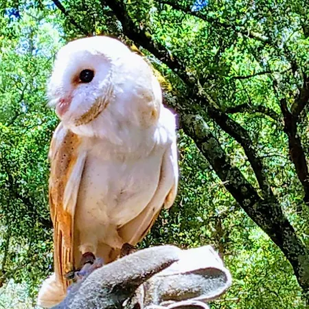 Σπίτι διακοπών - Grill Terrace *