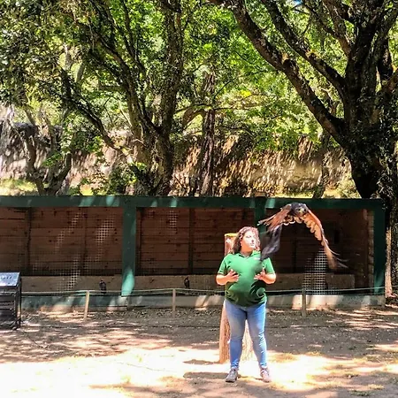 Casa de Férias - Grill Terrace