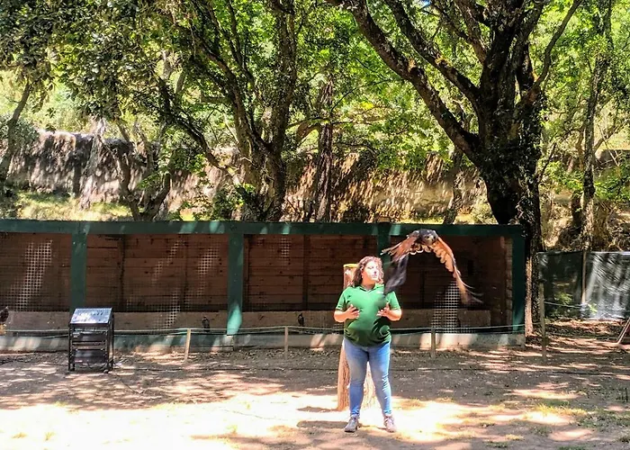 Holiday home - Grill Terrace