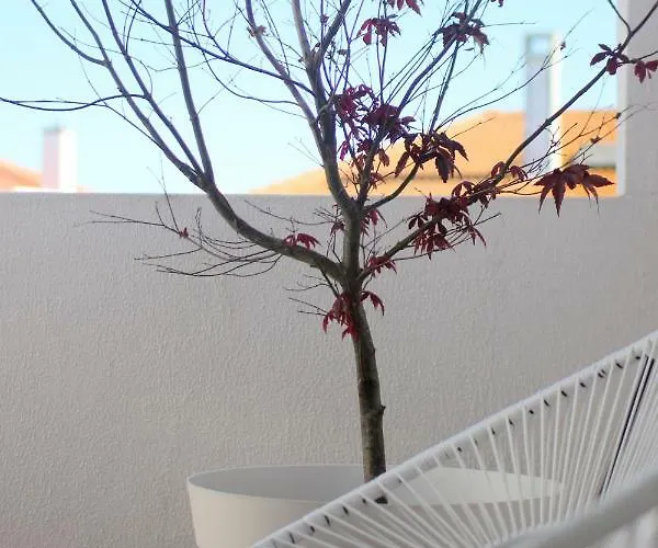 - Grill Terrace